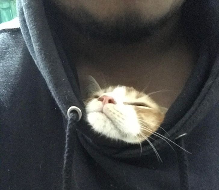 10d01f52388347cde8583f0dd0