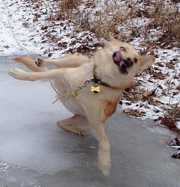 10d6395042abe90804b315c344