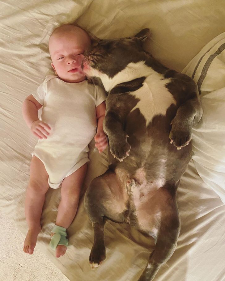 10e43656c99e4a234a969160e5