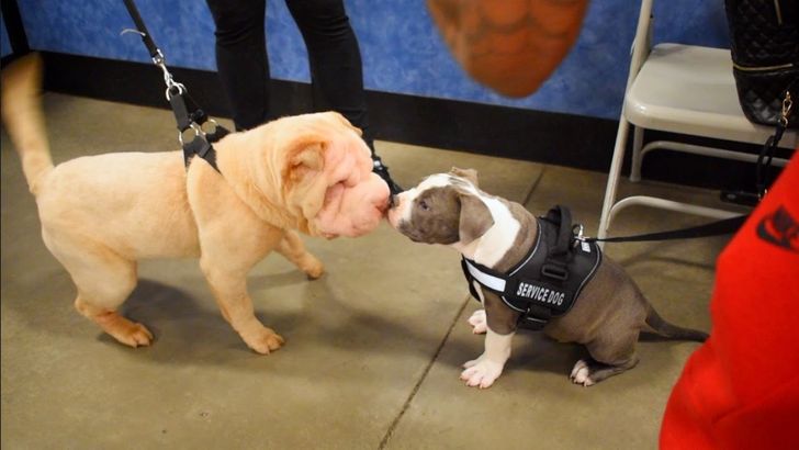 10e78c5875a09bb763244d3f7d