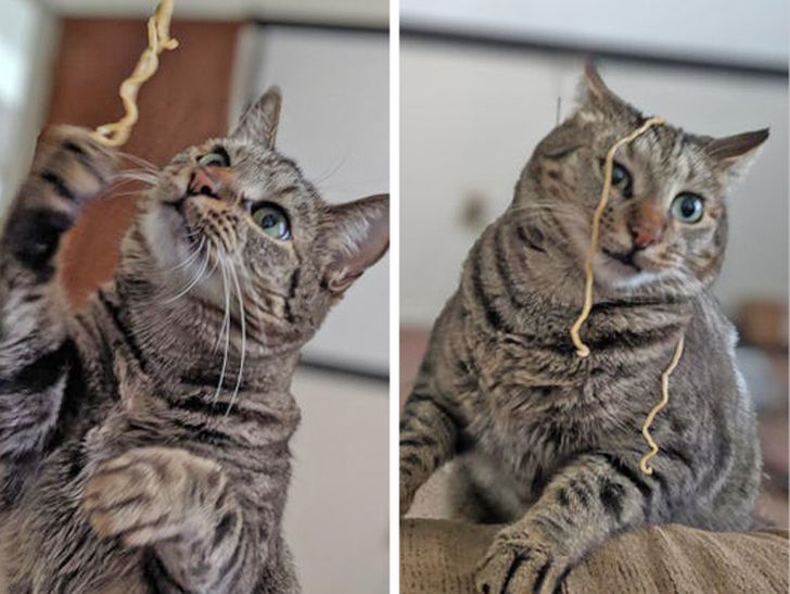 10e85e5e499c41658b7ef5df2b