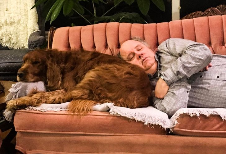 10edff5dbb8042ff35bf2cddd4