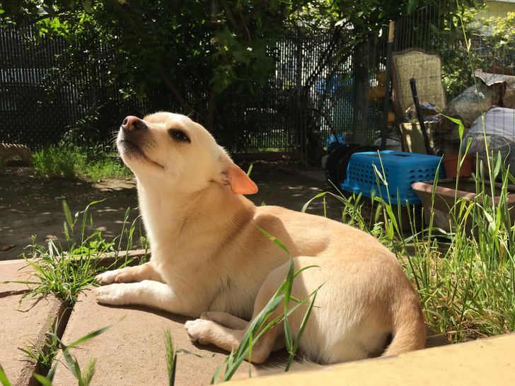 10eef2513bb744214037637be3