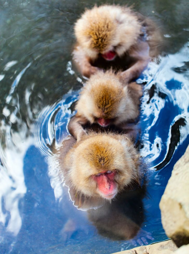 10eef45b1fa3ffbe266f8a8683