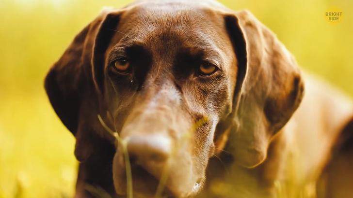 10efcc5794bff60db1ab712842