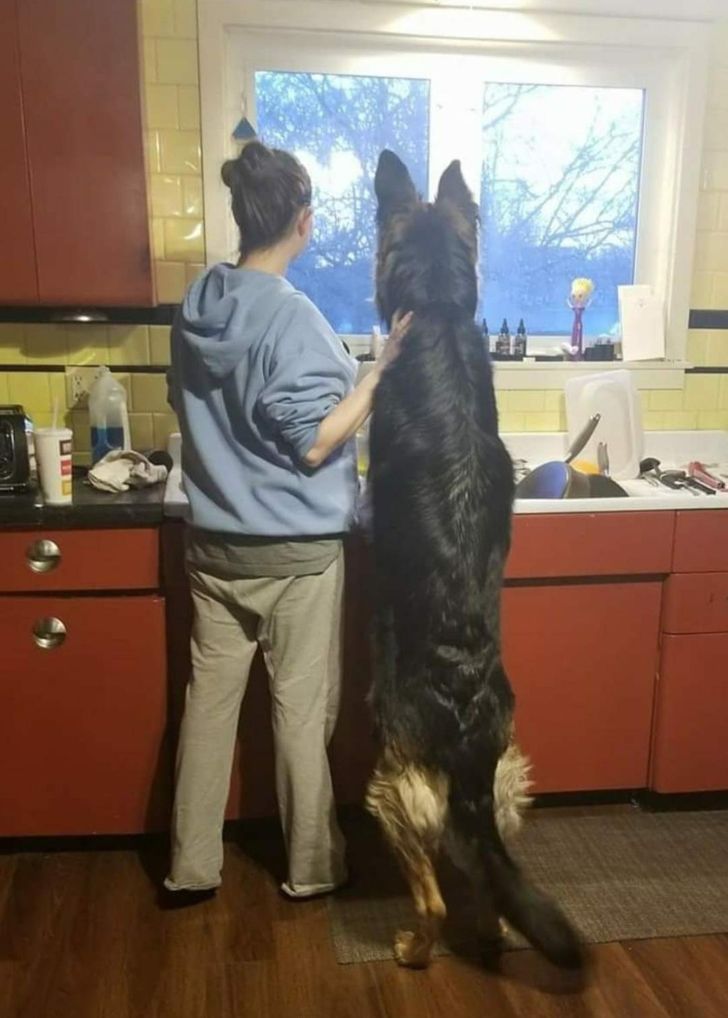 10fa9650b3a1f29b00bd301e16 10fa9650b3a1f29b00bd301e16