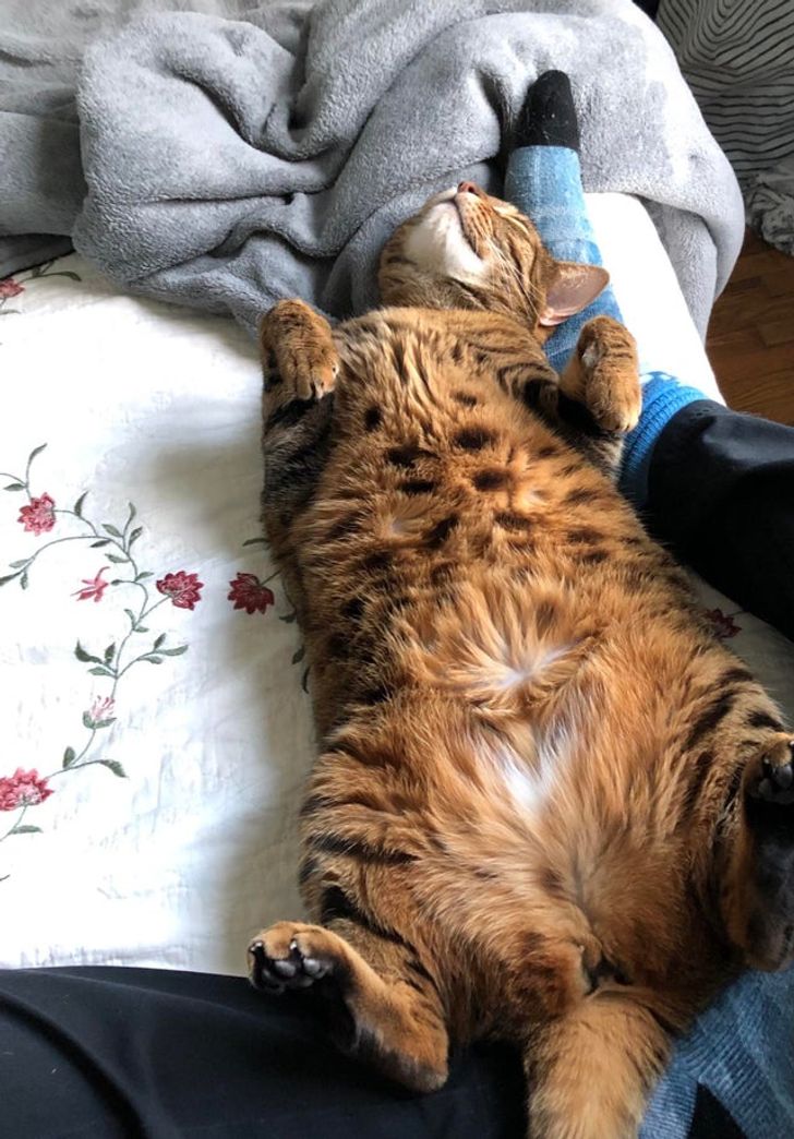 110e4c51f0a983cab4330709c0