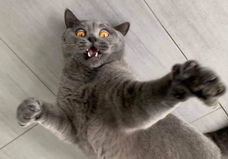 11249359e4b4fc865bf51a3790