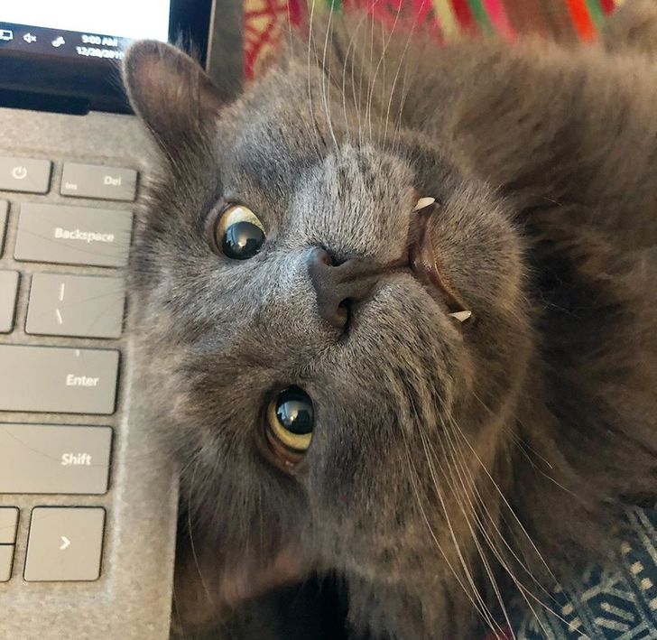 11257552879d937b9a59bb9675