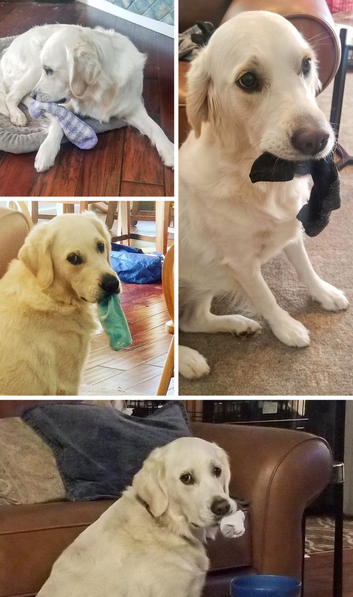 1126525367b64ad45d86da910f