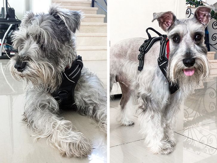 11279559fbb62d0324f41ade02