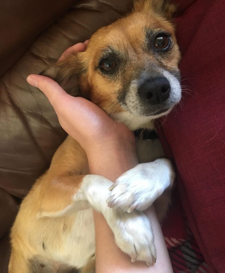 112fa258bb94ebbca66943dac4