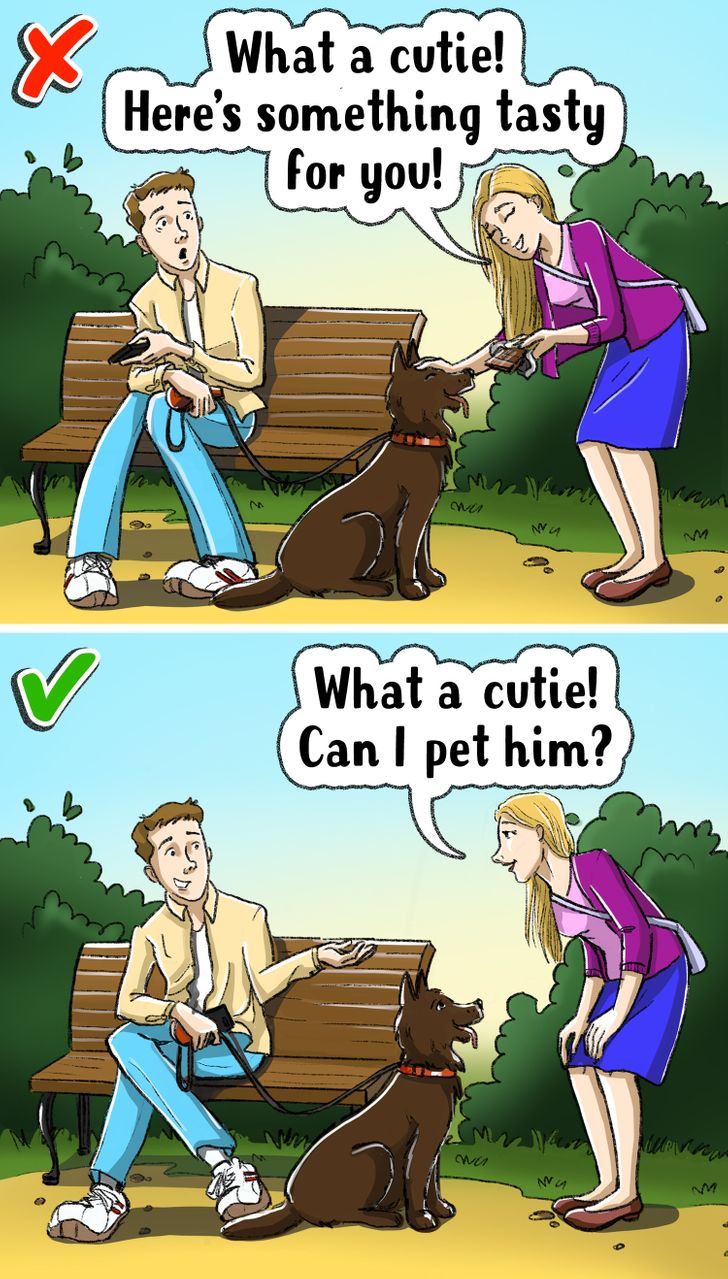 1131935311a7420a7f7b3c4812