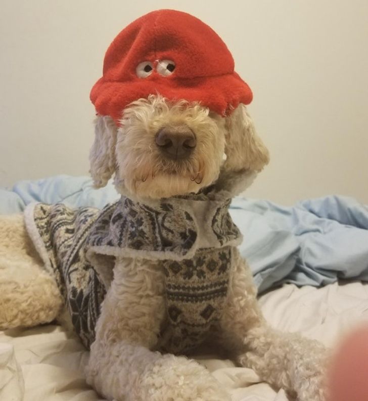 11465e5c259f1551bd2b0ed6ed