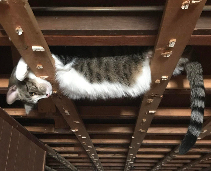 114c615de99a9bda4deb7980e6 114c615de99a9bda4deb7980e6