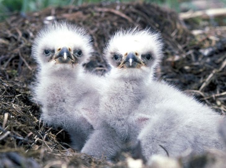 114cb25df9ab5c060934a5169a