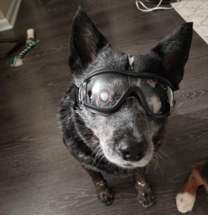 114daa5cddaf552fc85337659a