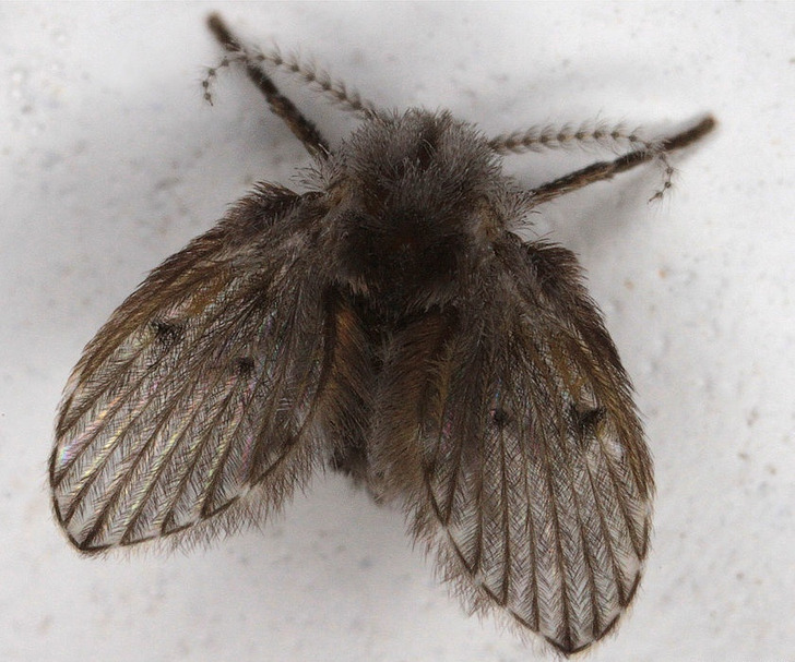 11502157e0a13ee3e4389dd391