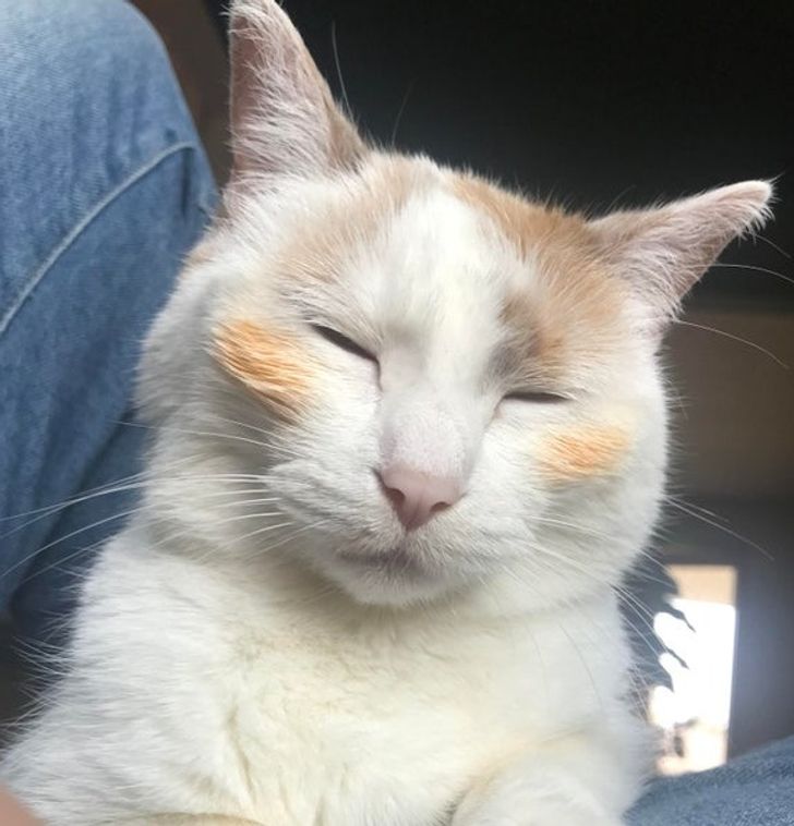 11526b53aab1fb912856836692