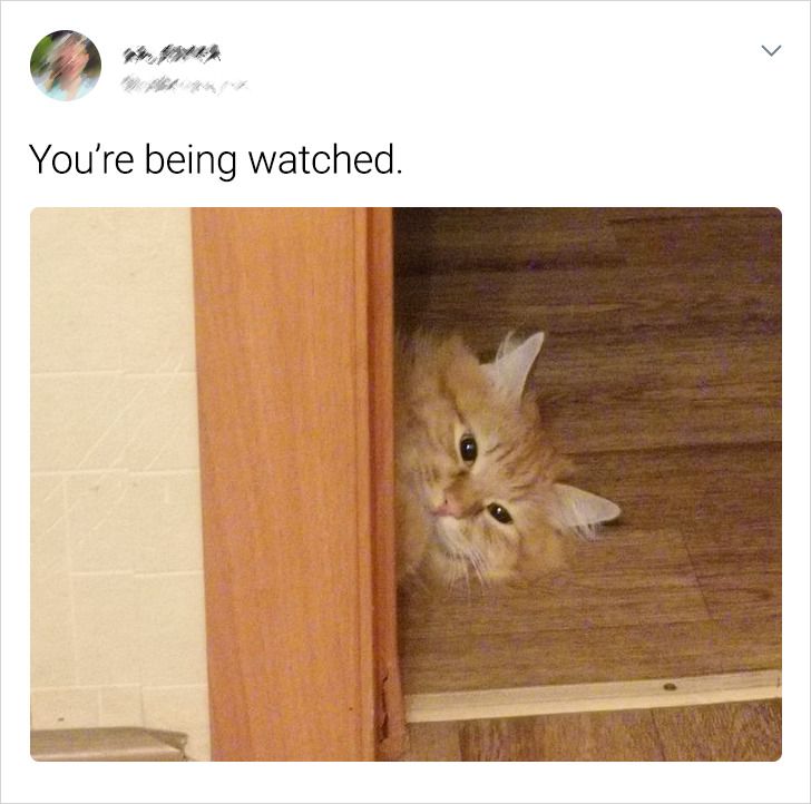 11537a51a89741455e6213128b