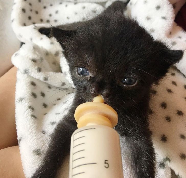 1156535b709251780c94d270b7