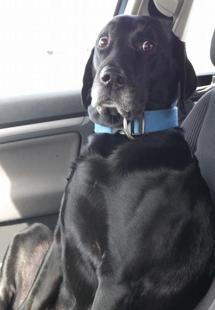 11680252fcac995d9a55a7c4d8