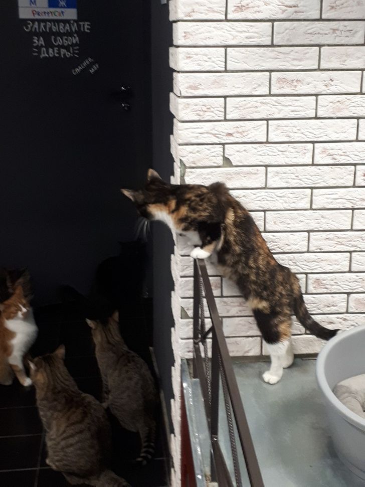 116d8e556eb8dd7b520e521680