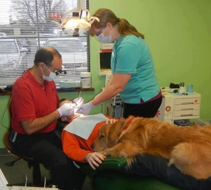 116f315b6db7dac06adf3b2454