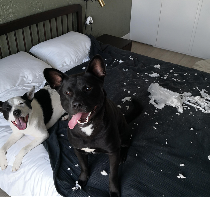 1171965a5490cd7e70fc6367df