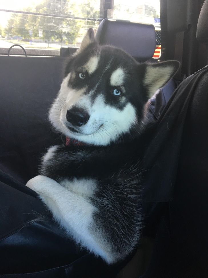 11721052119208ad30e1e768de