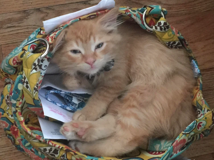 1173d054d0a9a55094baaa60e0