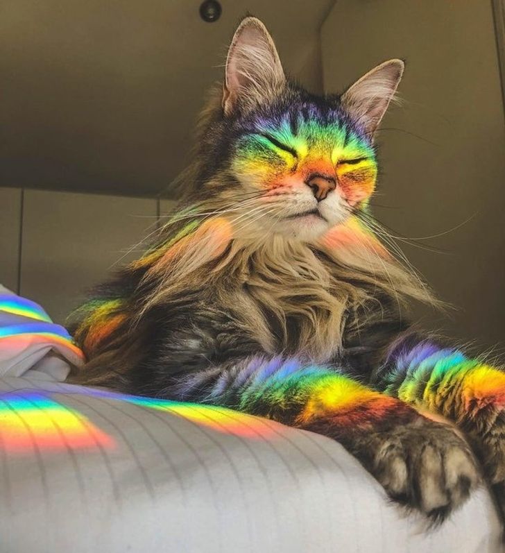 11752e585d8e4523bd7b4066f7