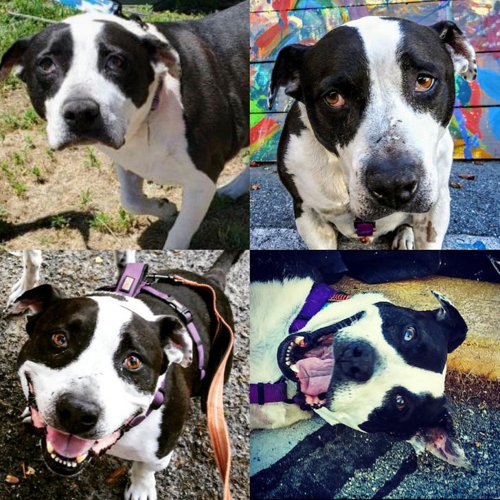 11753e58c092019f0c7d4fc910