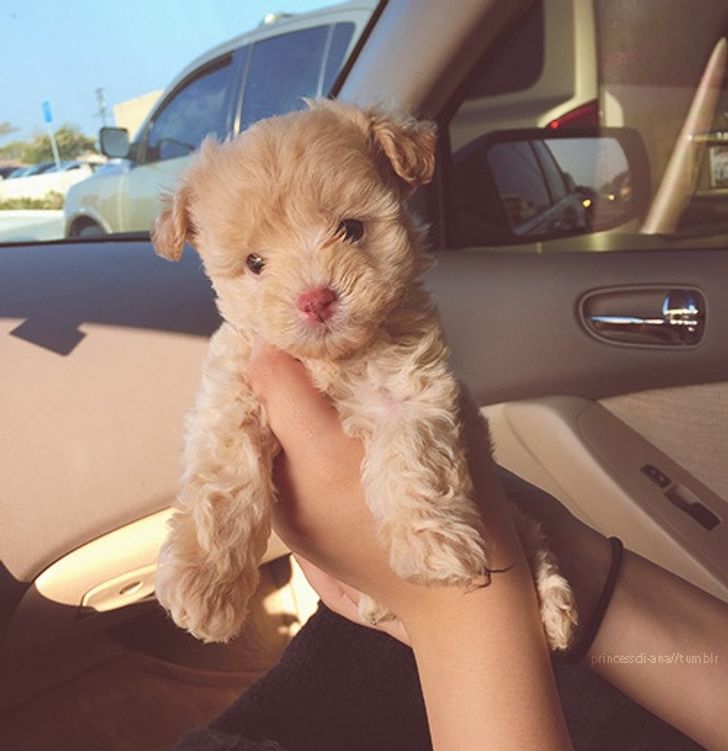 11764e57fc9fa1e7bda444da3f