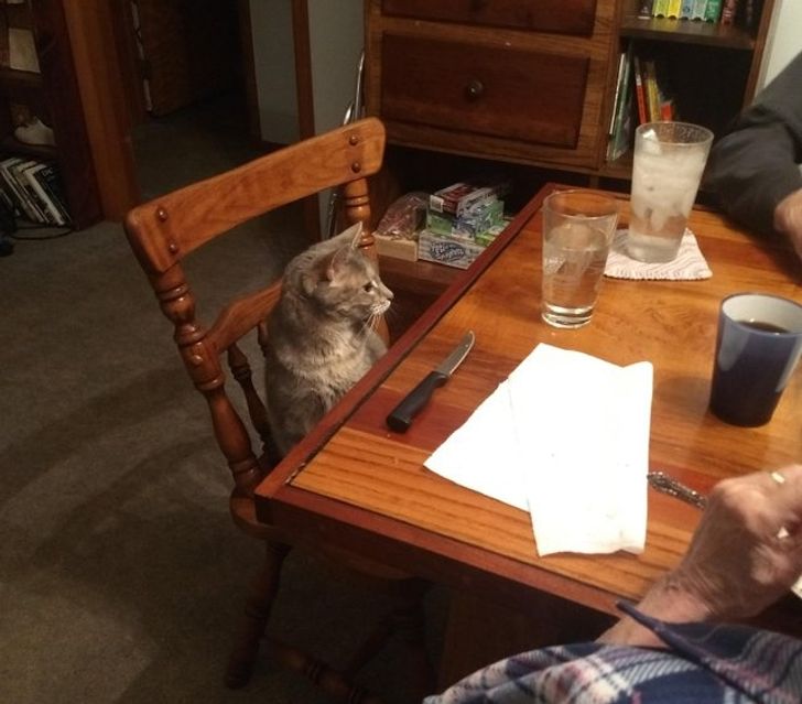 11782c596ca0f8370ee7b71a79