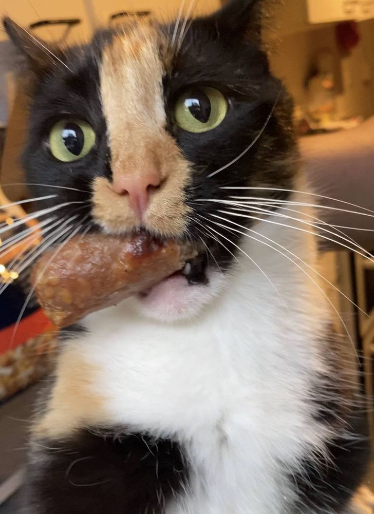 117b7b50aeb79b7f860103c5ff