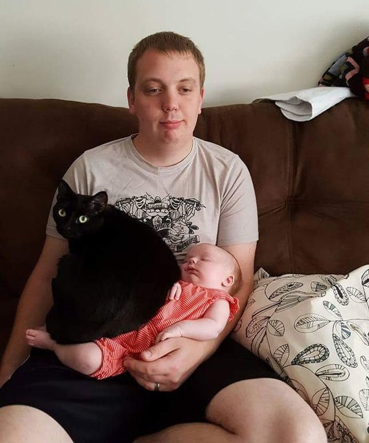 1188305ff8ba597e4581612473