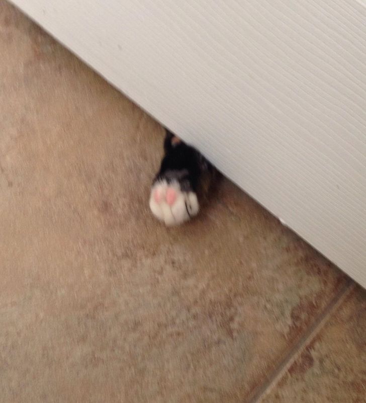 118cd3550e8dd0e23dd7c960ab