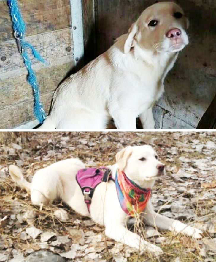 11916e52f9a6cb845407eacfb2