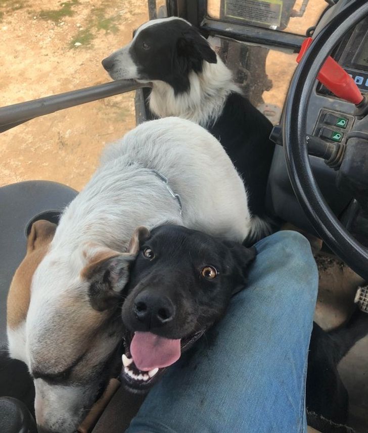 11a8dd5961a6ef77e0108e843e