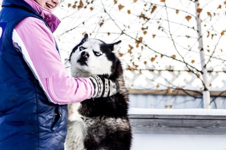 11a9cd5e4b992f604a6d843353