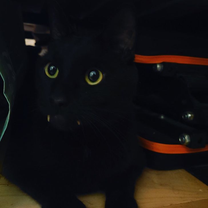 11c29b57efbd4a5dcedacce5d7