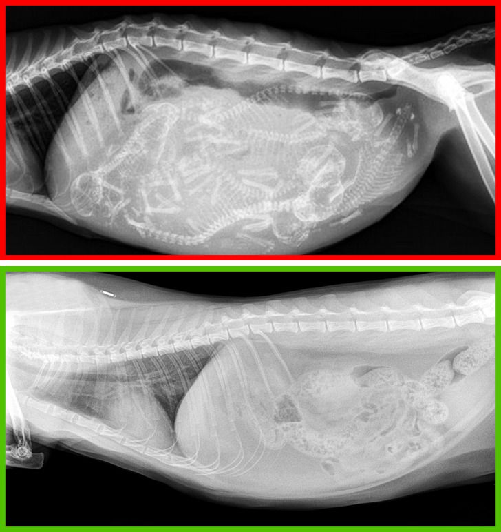 11c3c754f290e2bf52e782f03d