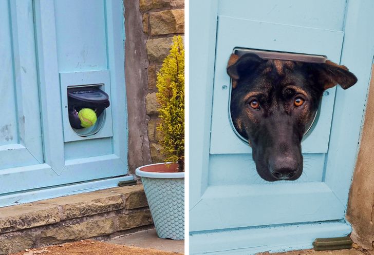 11c80959808c9a34d618847a63