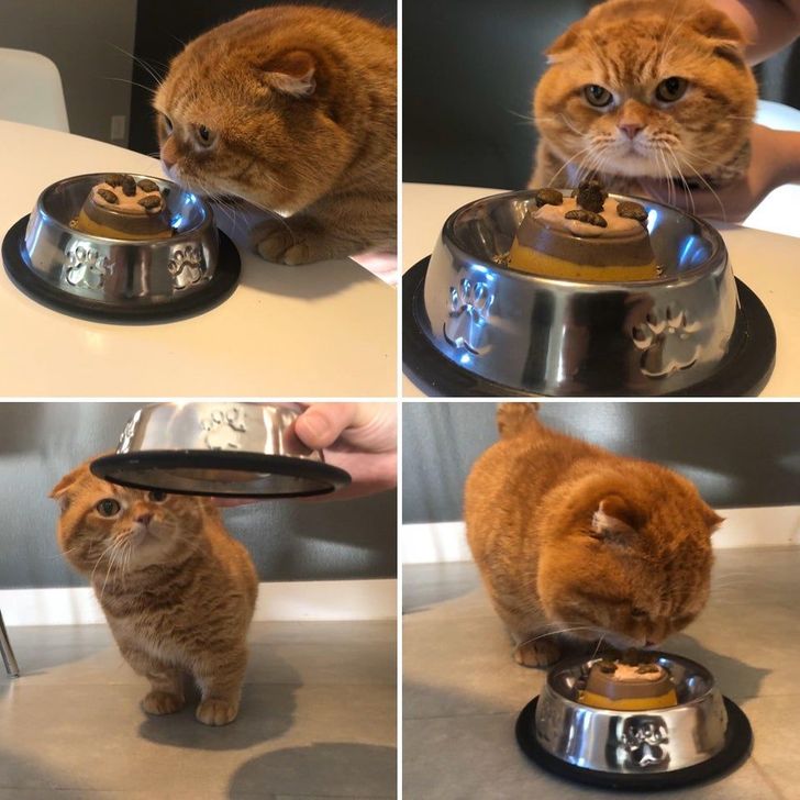 11cd7e5d9d83237c0d1b42b64e