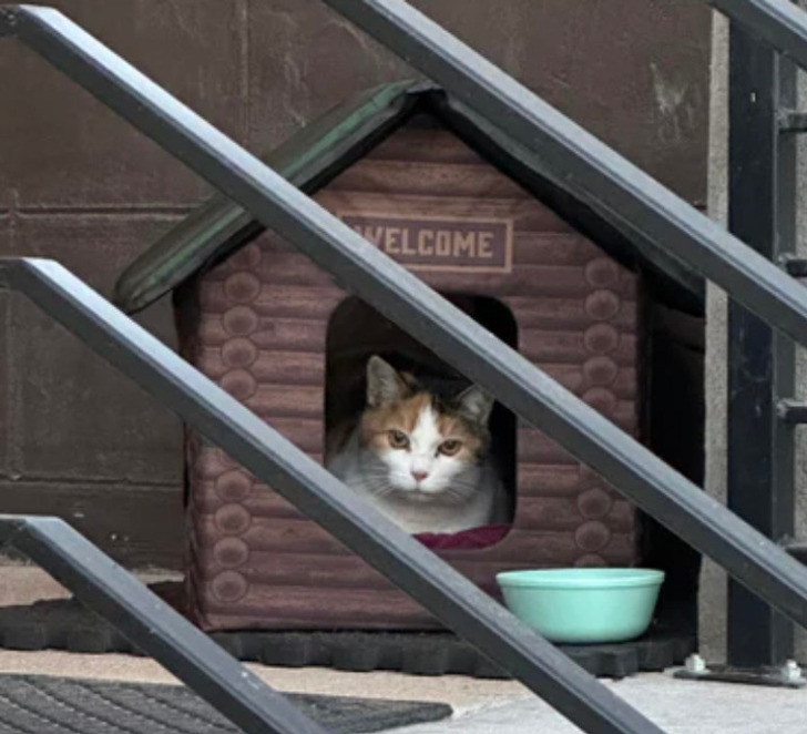 11d0325f059d27503a30bf5a6e 11d0325f059d27503a30bf5a6e