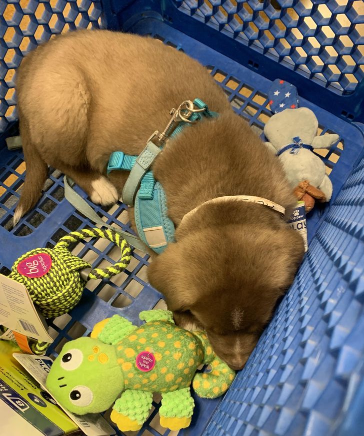 11d47e51bfa07b3d2c73563bda