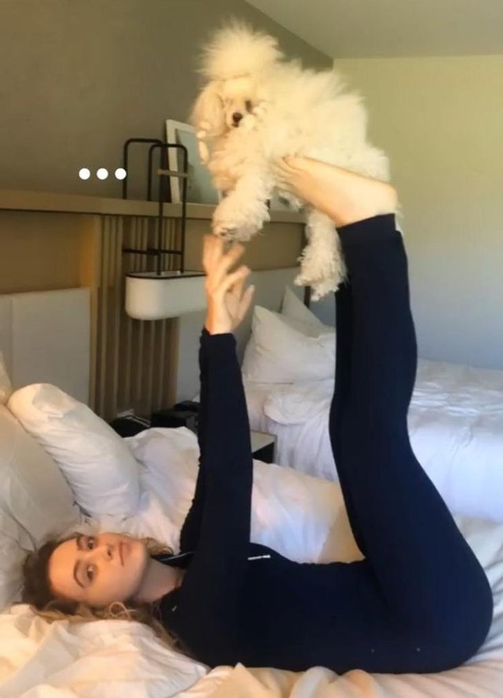 11d80b5548802306d7bbed7297