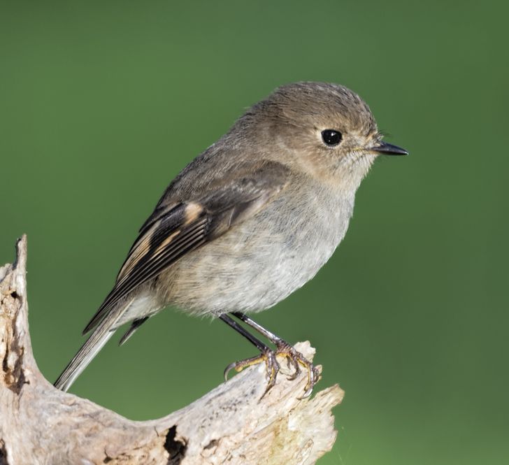 11dc6657ef9c5a67fac9e78acb