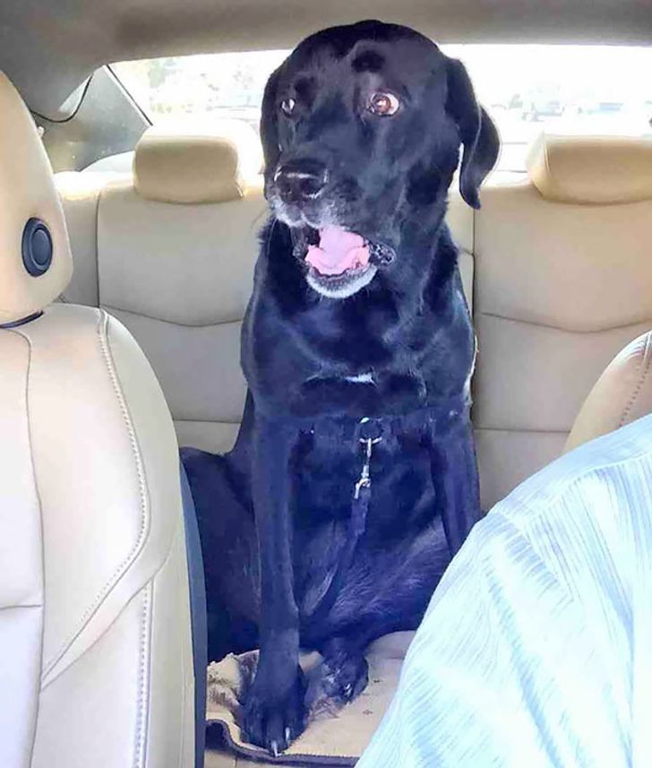 11e20b51e1ab83f90047e98c18